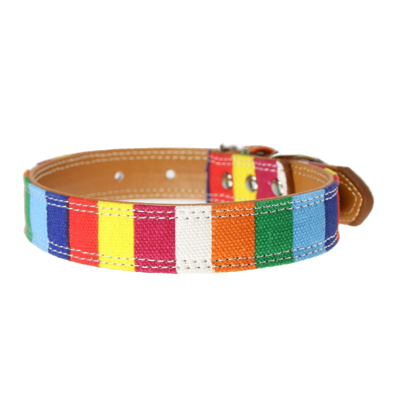 Colorful Dog Collar For Small And Big Dogs - AcornPick